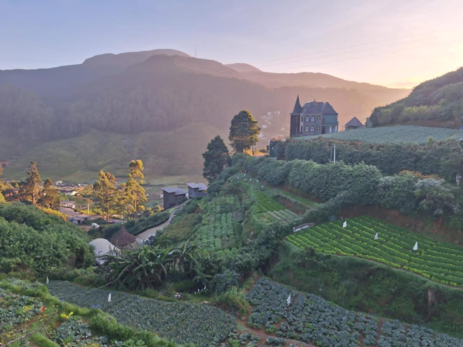The Farm House Nuwaraeliya Nuwara Eliya Exterior photo