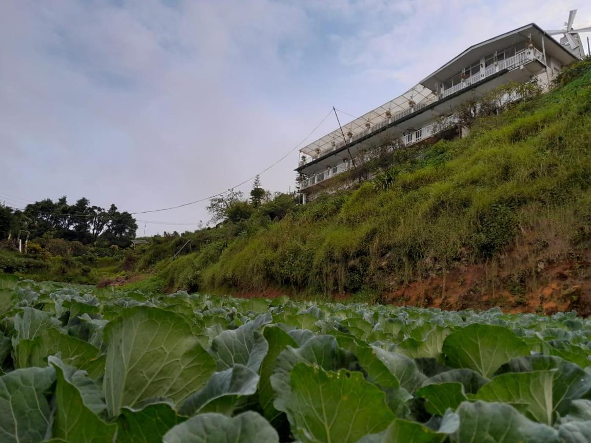 The Farm House Nuwaraeliya Nuwara Eliya Exterior photo